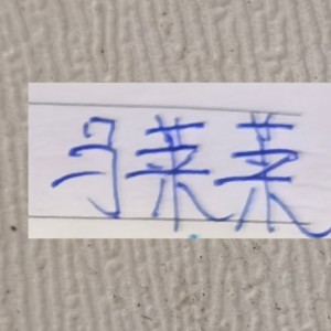 申花迎战马莱莱首战前 又迎来喜讯 ！这次是轮到吴曦